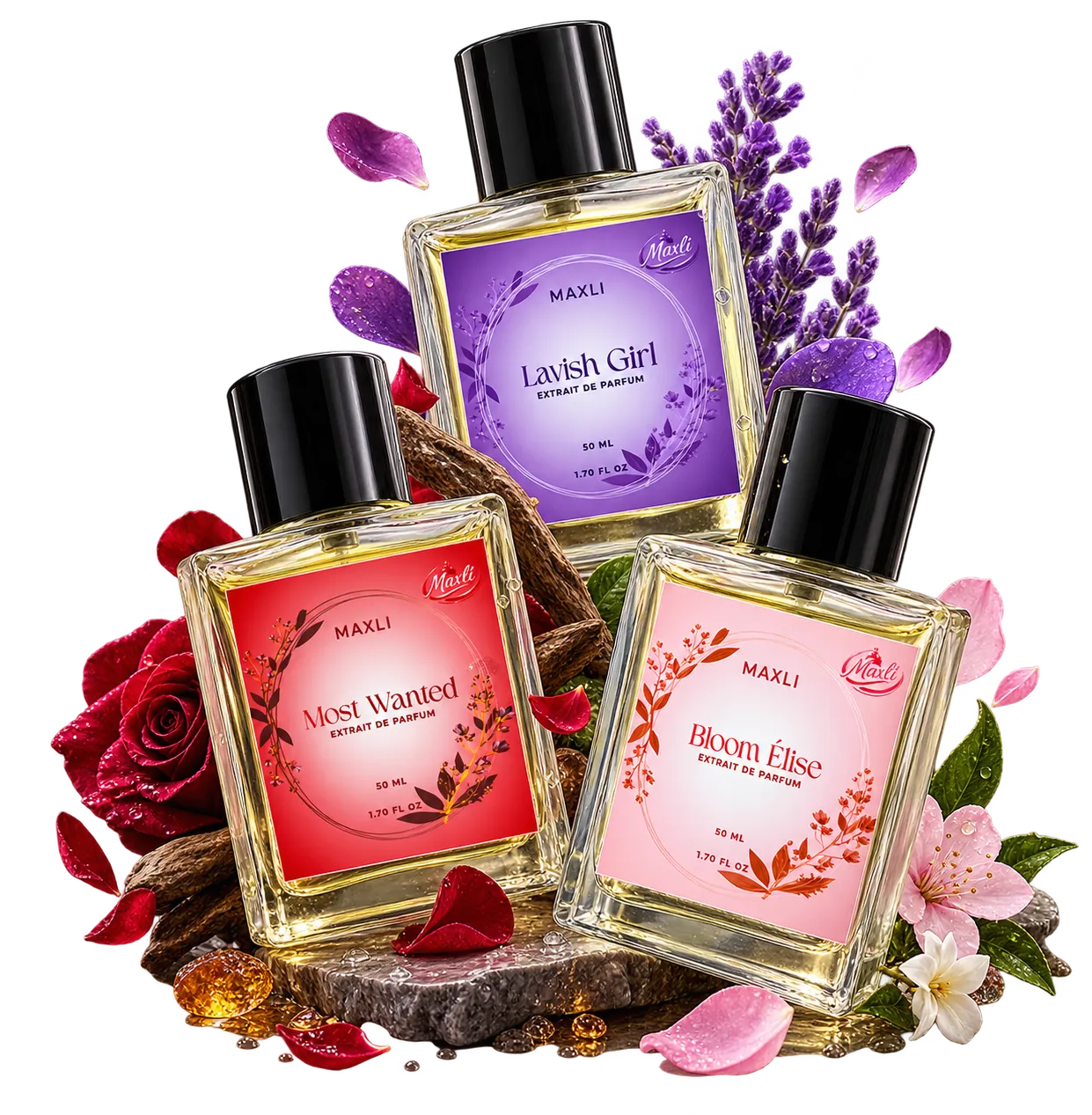 Maxli Signature Collection